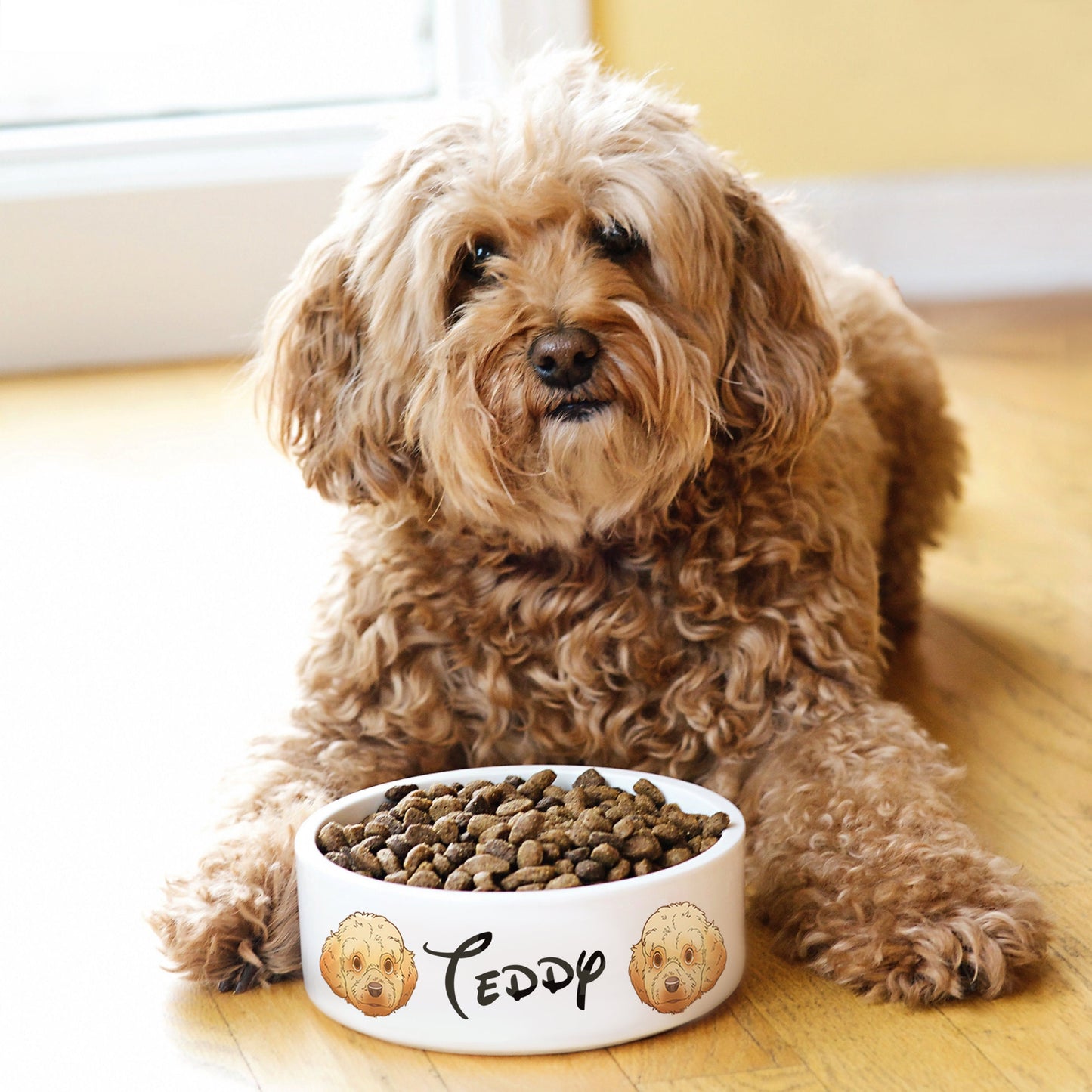 Custom Pet Cartoon Food Ceramic Bowl