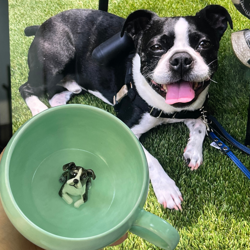 Handmade Custom Pet Figure Inside Ceramic Mug