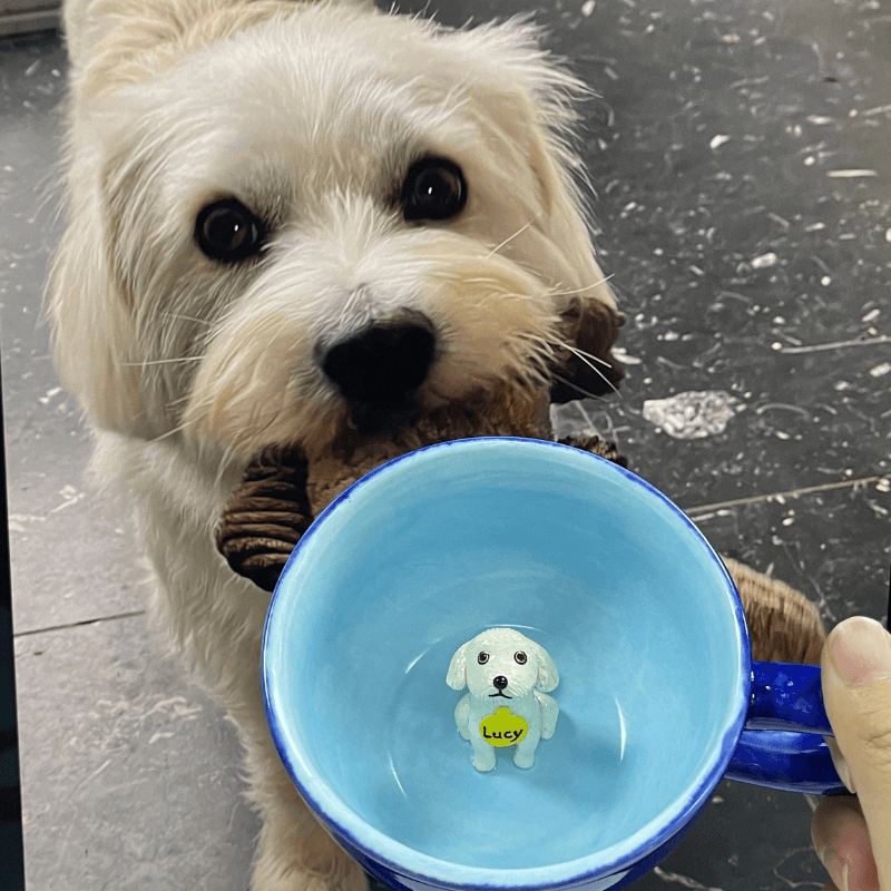 Handmade Custom Pet Figure Inside Ceramic Mug-Teddy