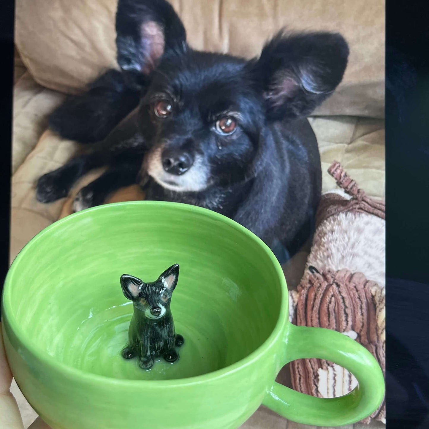 Cadeau d'amant de maman pour animaux de compagnie Pot de portrait succulent en céramique