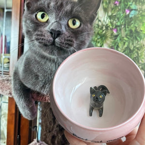 Cadeau d'amant de maman pour animaux de compagnie Pot de portrait succulent en céramique